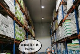 中国素食海运新加坡