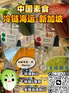 素食果汁海运到新加坡