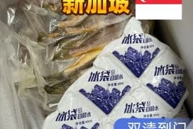 中国海鲜海运新加坡