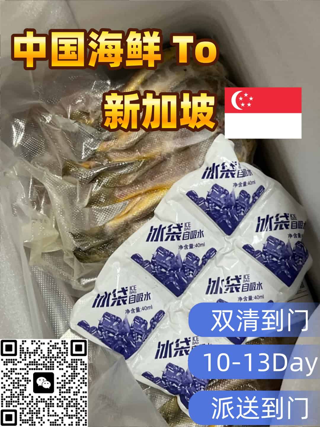 中国海鲜海运新加坡