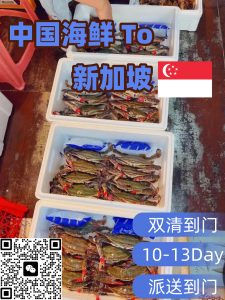 海鲜龙虾海运新加坡