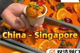 火锅底料海运新加坡