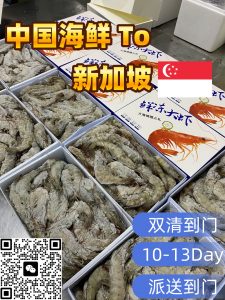 海鲜深海虾海运新加坡