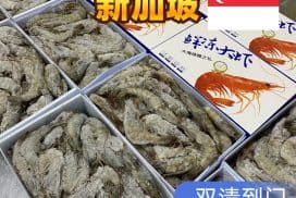 海鲜深海虾海运新加坡