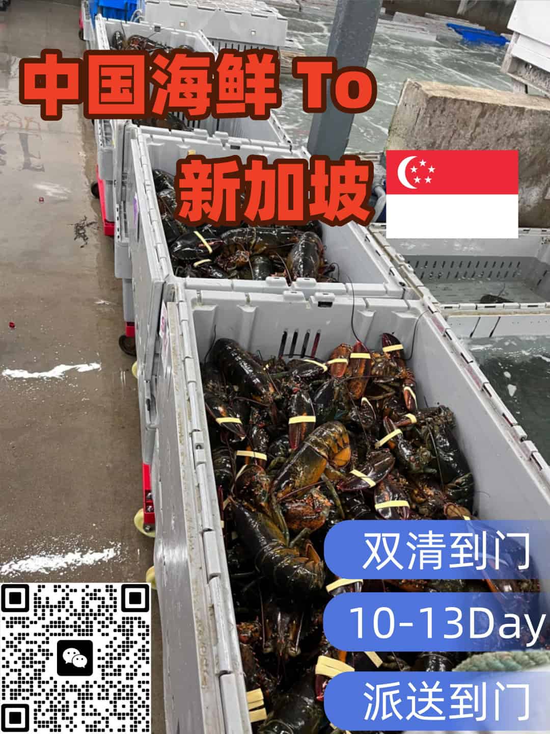 中国海鲜大闸蟹海运新加坡