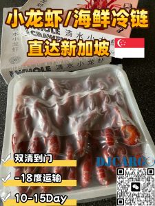麻辣小龙虾冷链运输到新加坡