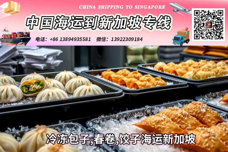 冷冻包子,春卷,饺子海运新加坡