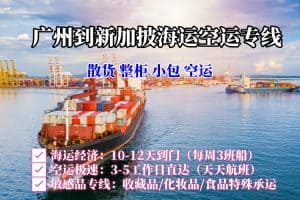 广州到新加披海运空运专线