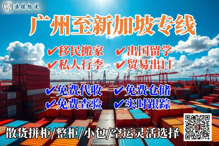 广州至新加坡专线，双清关送货到门服务