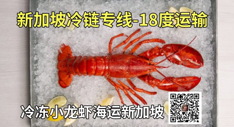 新加坡冷链专线-18度运输