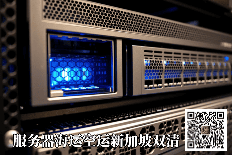 服务器海运空运新加坡双清