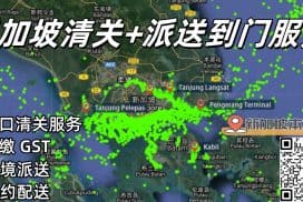 整柜玩具清关派送到门