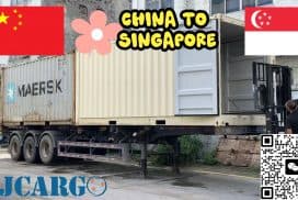 从中国移民搬家到新加坡