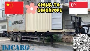 从中国移民搬家到新加坡