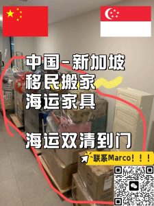 新加坡本地海运公司移民搬家服务