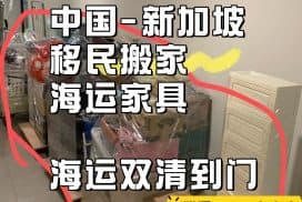 新加坡本地海运公司移民搬家服务