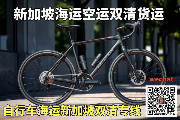 自行车海运新加坡双清专线