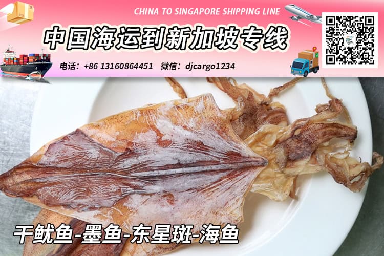 干鱿鱼-墨鱼-东星斑-海鱼冷链整柜拼箱海运到新加坡