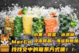 冷链素食海运新加坡