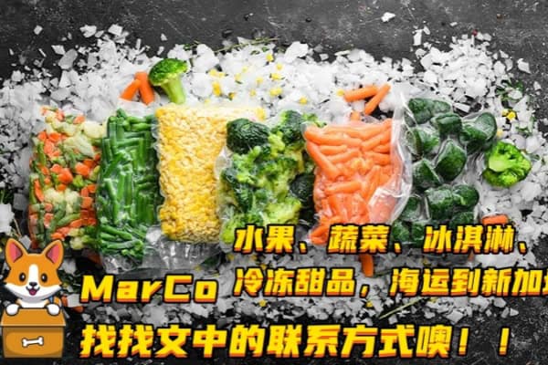 冷链素食海运新加坡