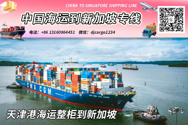 天津海运到新加坡-天津海运整柜到新加坡专线-递接物流