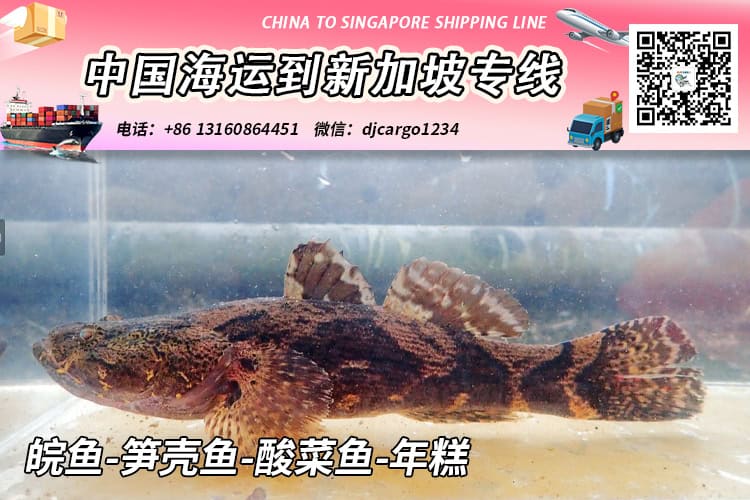 皖鱼-笋壳鱼-酸菜鱼-年糕冷链整柜拼箱海运到新加坡