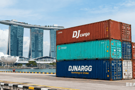 新加坡本地海运公司DJCARGO
