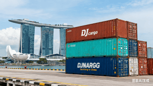 新加坡本地海运公司DJCARGO