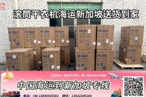 滚筒干衣机海运新加坡送货到家