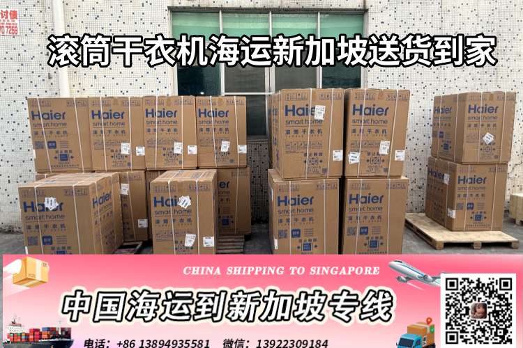 滚筒干衣机海运新加坡送货到家