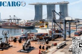 中国健身器材海运到新加坡服务