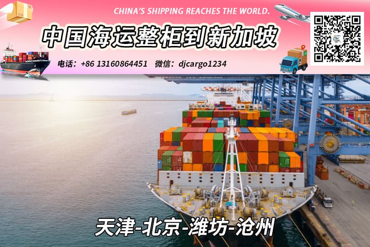 天津-北京-潍坊-沧州海运整柜到新加坡双清关派送到门