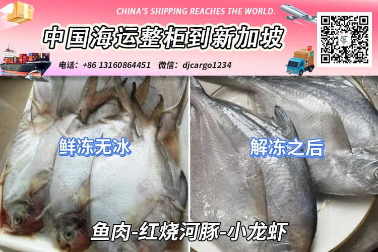 鱼肉-红烧河豚-小龙虾海运整柜到新加坡-18°运输