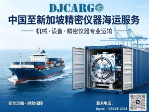 深耕中新专线多年🚢蛇口 / 盐田直航 船期稳时效快