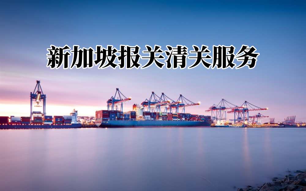 Singapore Customs Brokerage Services