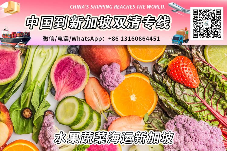 中国水果蔬菜海运整柜冷链冷藏柜到新加坡清关派送到门